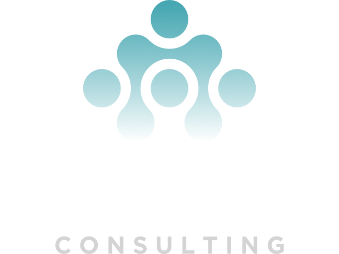 azulin consulting